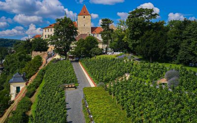 PŘIJĎTE NA PROSECCOFEST 4.-5. ZÁŘÍ 2021