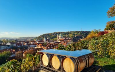 Svatomartinská a mladá vína Wine & Food Festival 13.-14. listopadu 2021