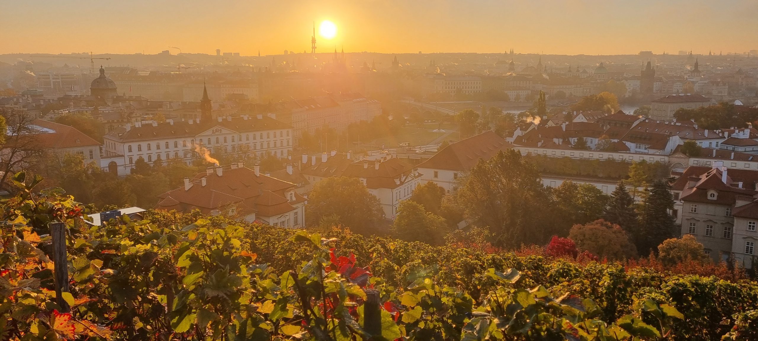 Pražský vinohrad & Villa Richter