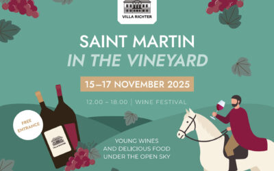 Saint Martin Festival