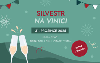 SILVESTR NA VINICI