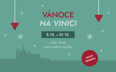 VÁNOCE NA VINICI