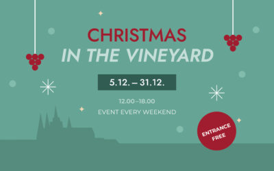 CHRISTMAS IN THE VINEYARD
